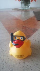 The Chancellor Hotel's duck!